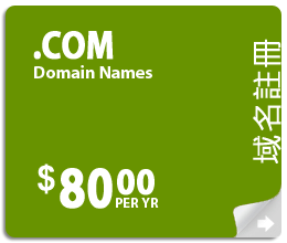 wchost domain name